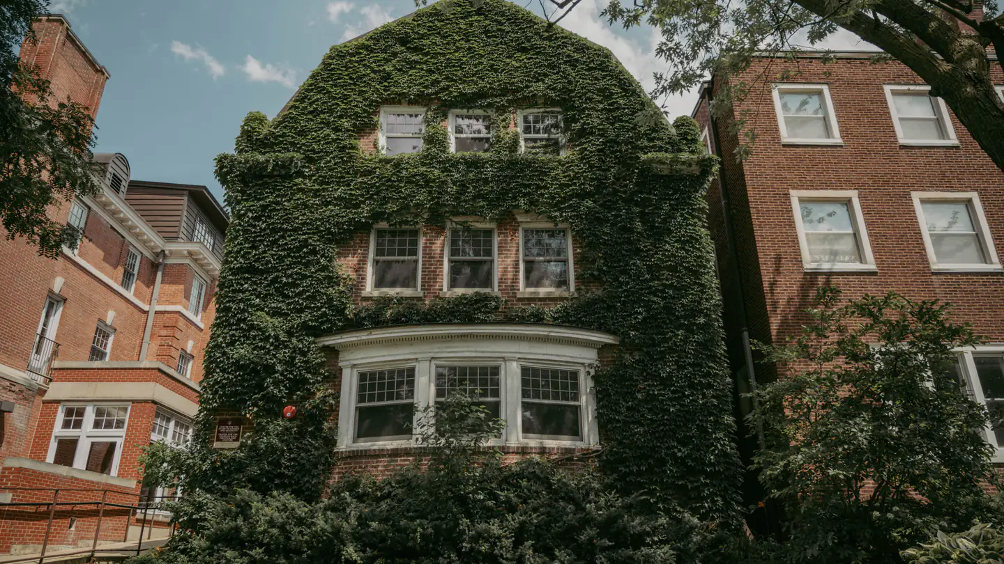 An older brick apartment building with bay windows and an ivy-covered facade, between two brick neighbors.