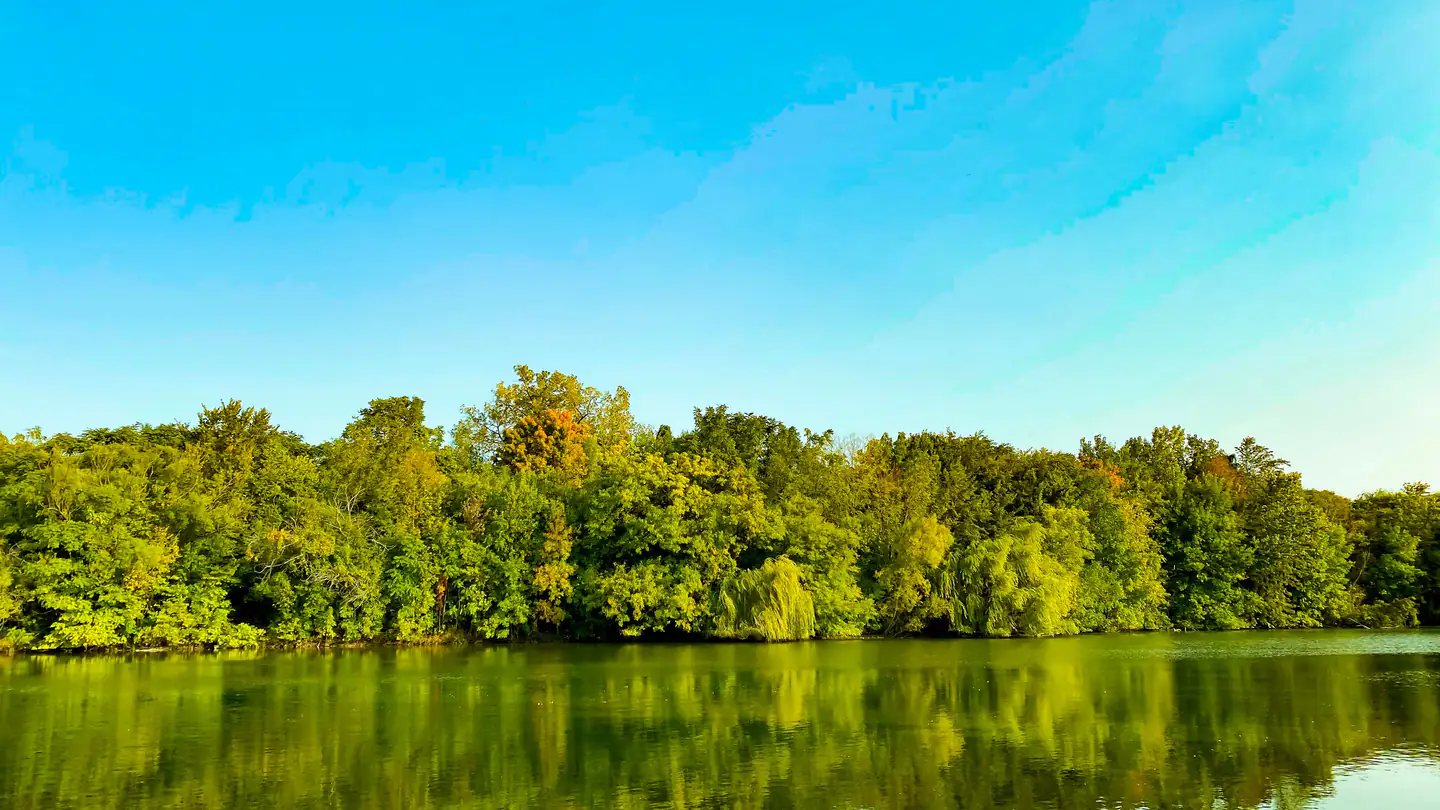 A wide, calm river running past a dense green treeline under a clear sky.